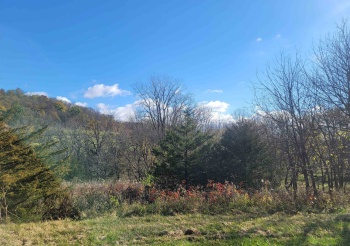 62 Heatherdowns, GALENA, Illinois 61036, ,Land,For Sale,Heatherdowns,202506803