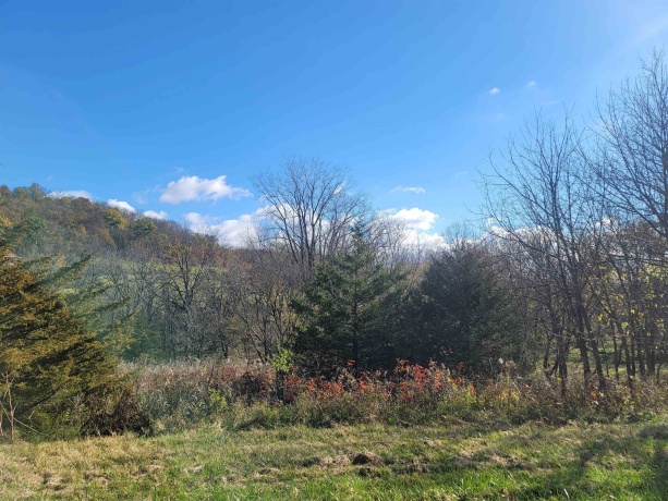 62 Heatherdowns, GALENA, Illinois 61036, ,Land,For Sale,Heatherdowns,202506803