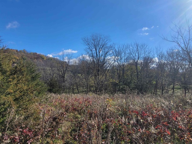 62 Heatherdowns, GALENA, Illinois 61036, ,Land,For Sale,Heatherdowns,202506803