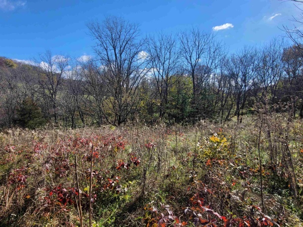 62 Heatherdowns, GALENA, Illinois 61036, ,Land,For Sale,Heatherdowns,202506803