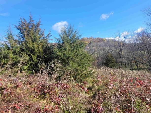 62 Heatherdowns, GALENA, Illinois 61036, ,Land,For Sale,Heatherdowns,202506803