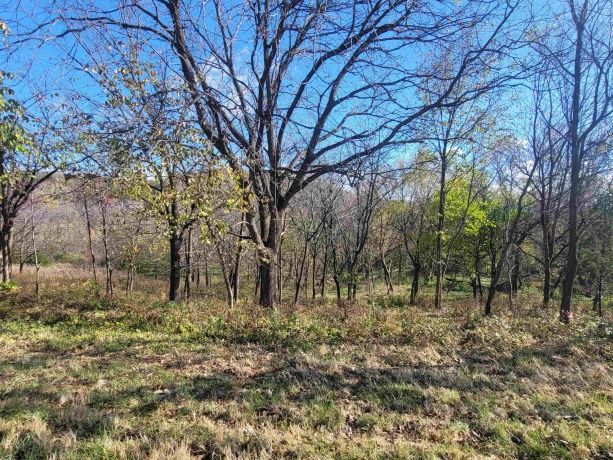 62 Heatherdowns, GALENA, Illinois 61036, ,Land,For Sale,Heatherdowns,202506803