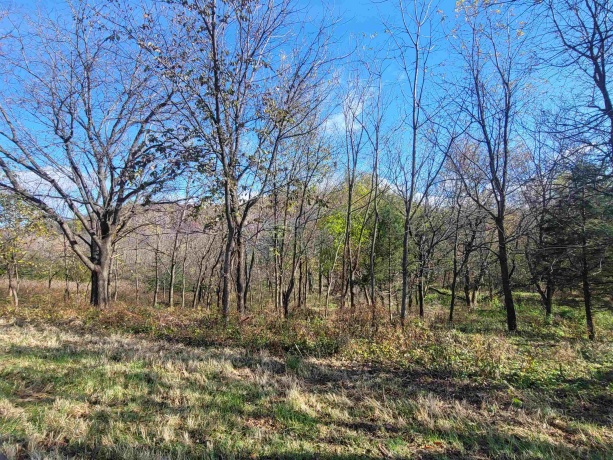 62 Heatherdowns, GALENA, Illinois 61036, ,Land,For Sale,Heatherdowns,202506803