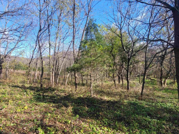 62 Heatherdowns, GALENA, Illinois 61036, ,Land,For Sale,Heatherdowns,202506803