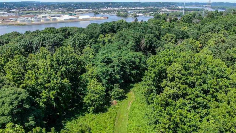 600 Livingston, EAST DUBUQUE, Illinois 61025, ,Land,For Sale,Livingston,202506808