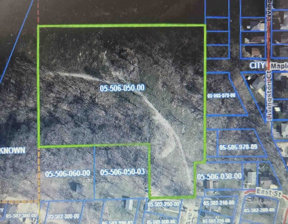 600 Livingston, EAST DUBUQUE, Illinois 61025, ,Land,For Sale,Livingston,202506808