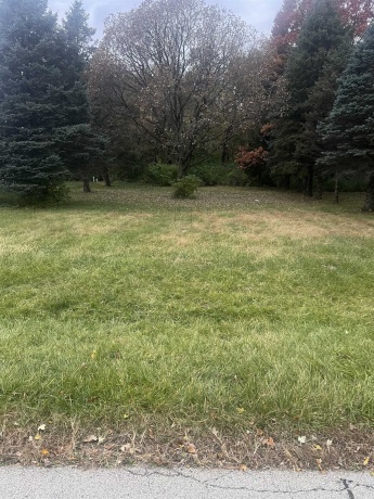 160 Columbia NW, POPLAR GROVE, Illinois 61065, ,Land,For Sale,Columbia NW,202506812