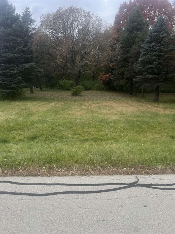 160 Columbia NW, POPLAR GROVE, Illinois 61065, ,Land,For Sale,Columbia NW,202506812