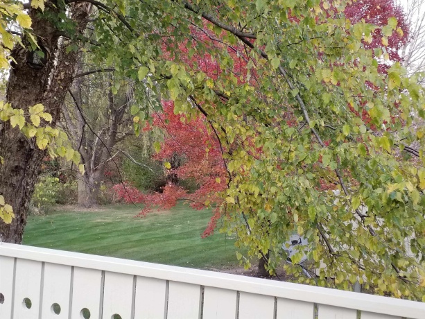 Private green space.