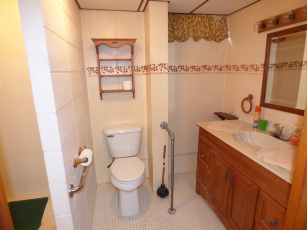 314 Main, ELIZABETH, Illinois 61028, 3 Bedrooms Bedrooms, ,3 BathroomsBathrooms,House,For Sale,Main,202506862