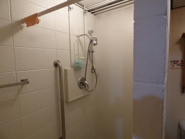 314 Main, ELIZABETH, Illinois 61028, 3 Bedrooms Bedrooms, ,3 BathroomsBathrooms,House,For Sale,Main,202506862