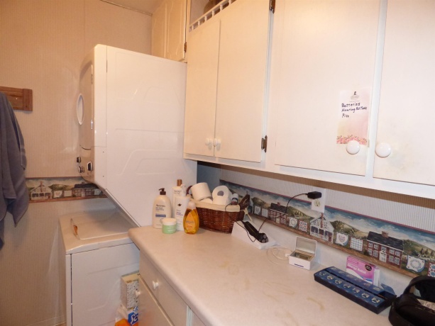 19128 IL Rt 84, SAVANNA, Illinois 61074, 4 Bedrooms Bedrooms, ,3 BathroomsBathrooms,House,For Sale,IL Rt 84,202506886