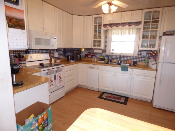 19128 IL Rt 84, SAVANNA, Illinois 61074, 4 Bedrooms Bedrooms, ,3 BathroomsBathrooms,House,For Sale,IL Rt 84,202506886