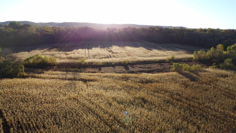 19128 IL Rt 84, SAVANNA, Illinois 61074, 4 Bedrooms Bedrooms, ,3 BathroomsBathrooms,House,For Sale,IL Rt 84,202506886