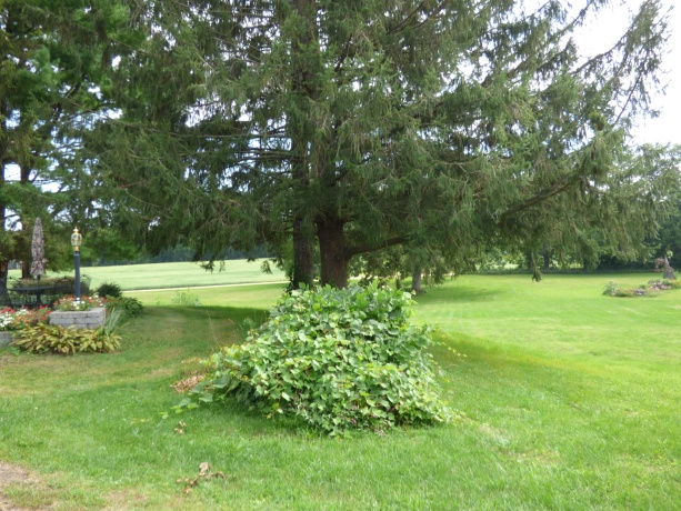 19128 IL Rt 84, SAVANNA, Illinois 61074, 4 Bedrooms Bedrooms, ,3 BathroomsBathrooms,House,For Sale,IL Rt 84,202506886