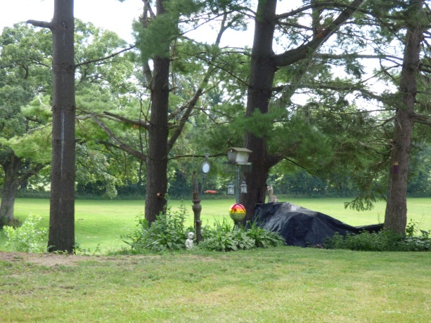 19128 IL Rt 84, SAVANNA, Illinois 61074, 4 Bedrooms Bedrooms, ,3 BathroomsBathrooms,House,For Sale,IL Rt 84,202506886