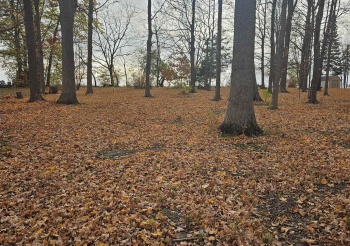 2203 gainsboro, DAVIS, Illinois 61019, ,Land,For Sale,gainsboro,202506887