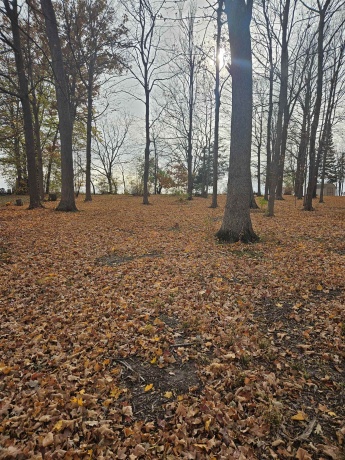 2203 gainsboro, DAVIS, Illinois 61019, ,Land,For Sale,gainsboro,202506887