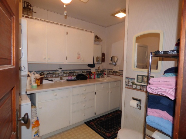 19128 IL Rt. 84, SAVANNA, Illinois 61074, 4 Bedrooms Bedrooms, ,3 BathroomsBathrooms,Farm,For Sale,IL Rt. 84,202506889