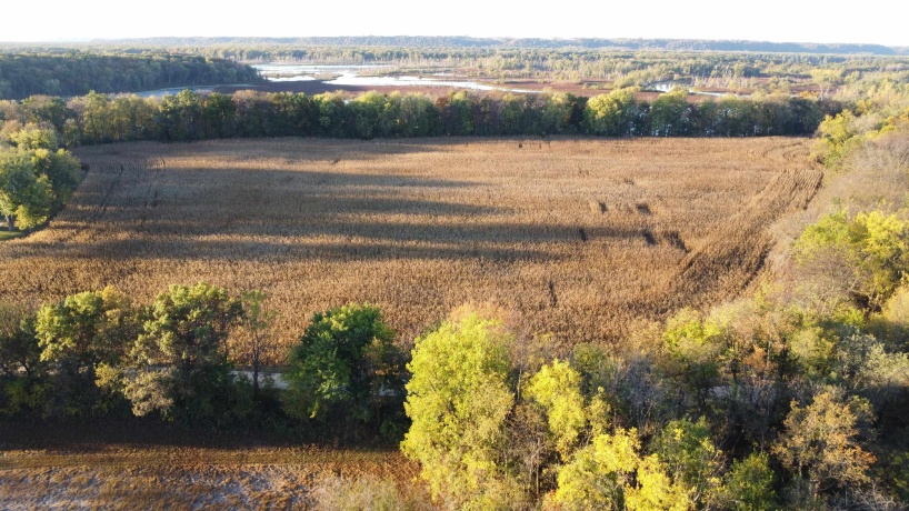 19128 IL Rt. 84, SAVANNA, Illinois 61074, 4 Bedrooms Bedrooms, ,3 BathroomsBathrooms,Farm,For Sale,IL Rt. 84,202506889