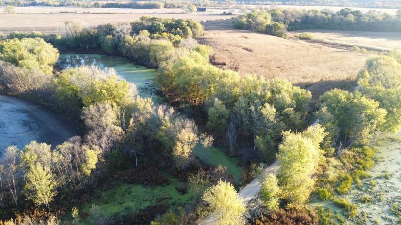 19128 IL Rt. 84, SAVANNA, Illinois 61074, 4 Bedrooms Bedrooms, ,3 BathroomsBathrooms,Farm,For Sale,IL Rt. 84,202506889