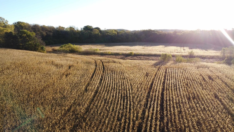 19128 IL Rt. 84, SAVANNA, Illinois 61074, 4 Bedrooms Bedrooms, ,3 BathroomsBathrooms,Farm,For Sale,IL Rt. 84,202506889