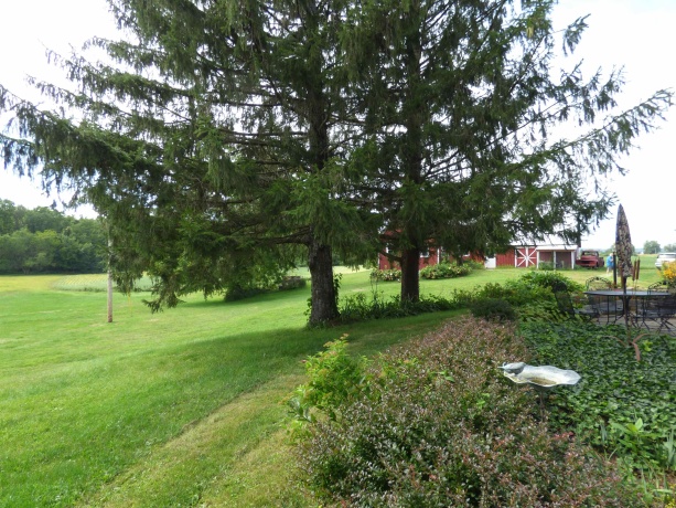 19128 IL Rt. 84, SAVANNA, Illinois 61074, 4 Bedrooms Bedrooms, ,3 BathroomsBathrooms,Farm,For Sale,IL Rt. 84,202506889