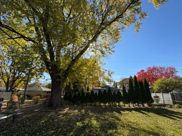 4719 Ottawa, ROCKFORD, Illinois 61107, 3 Bedrooms Bedrooms, ,1 BathroomBathrooms,House,For Sale,Ottawa,202506767