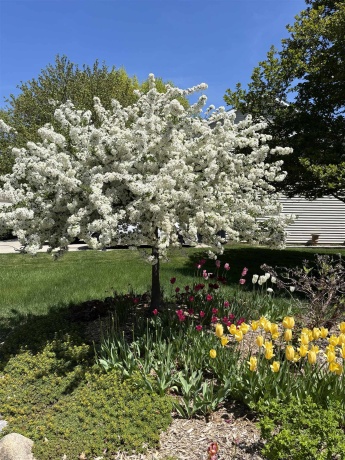 6641 Thomas, ROCKFORD, Illinois 61114, 3 Bedrooms Bedrooms, ,3 BathroomsBathrooms,House,For Sale,Thomas,202506903