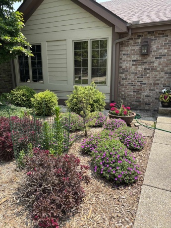 6641 Thomas, ROCKFORD, Illinois 61114, 3 Bedrooms Bedrooms, ,3 BathroomsBathrooms,House,For Sale,Thomas,202506903