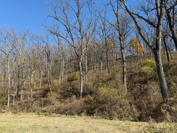 TBD Wann, GALENA, Illinois 61036, ,Land,For Sale,Wann,202506912