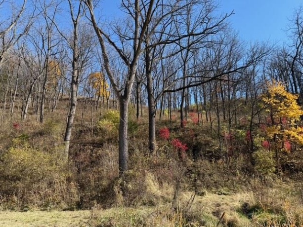 TBD Wann, GALENA, Illinois 61036, ,Land,For Sale,Wann,202506912