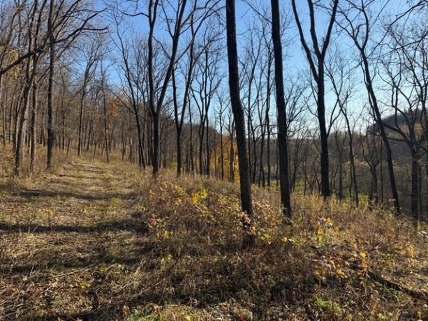 TBD Wann, GALENA, Illinois 61036, ,Land,For Sale,Wann,202506912