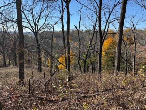 TBD Wann, GALENA, Illinois 61036, ,Land,For Sale,Wann,202506912