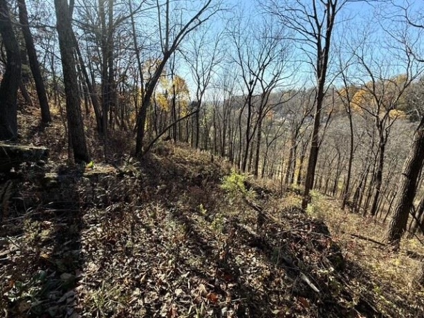 TBD Wann, GALENA, Illinois 61036, ,Land,For Sale,Wann,202506912