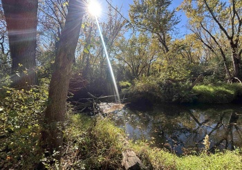 4360 ROCKTON, ROCKTON, Illinois 61072, ,Land,For Sale,ROCKTON,202506916