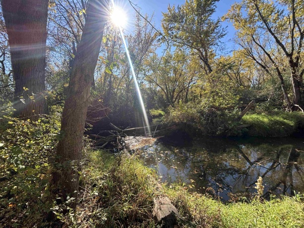 4360 ROCKTON, ROCKTON, Illinois 61072, ,Land,For Sale,ROCKTON,202506916