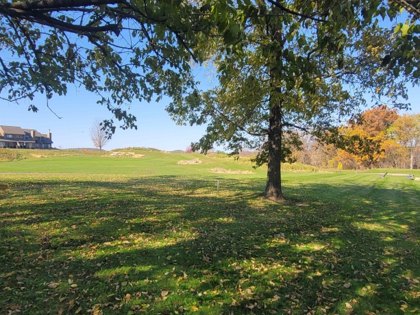 4 Hickory, GALENA, Illinois 61036, ,Land,For Sale,Hickory,202506929