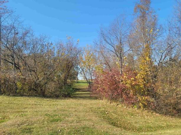 4 Hickory, GALENA, Illinois 61036, ,Land,For Sale,Hickory,202506929