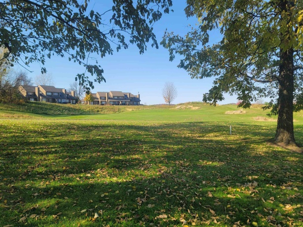 4 Hickory, GALENA, Illinois 61036, ,Land,For Sale,Hickory,202506929