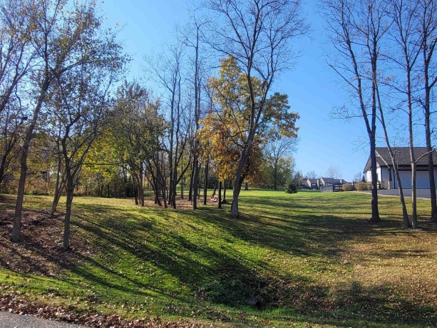 4 Hickory, GALENA, Illinois 61036, ,Land,For Sale,Hickory,202506929