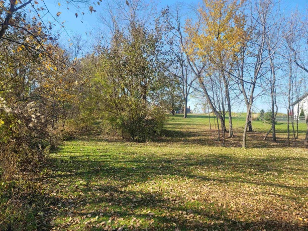 4 Hickory, GALENA, Illinois 61036, ,Land,For Sale,Hickory,202506929