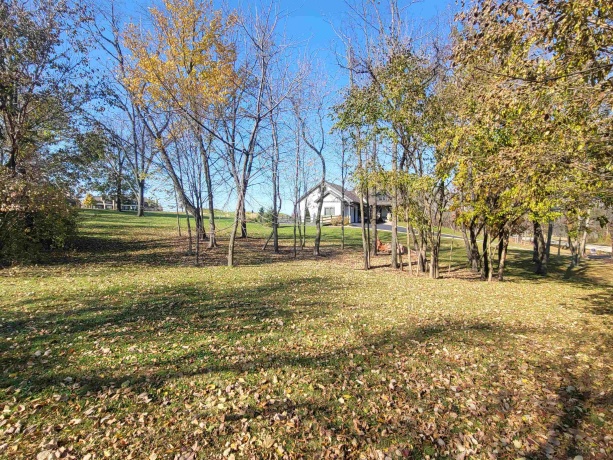 4 Hickory, GALENA, Illinois 61036, ,Land,For Sale,Hickory,202506929