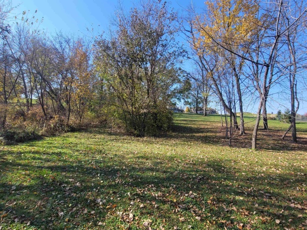 4 Hickory, GALENA, Illinois 61036, ,Land,For Sale,Hickory,202506929