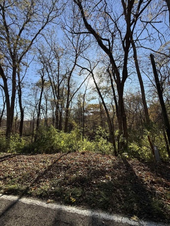 82XX FRIDAY, ROCKFORD, Illinois 61109, ,Land,For Sale,FRIDAY,202506940