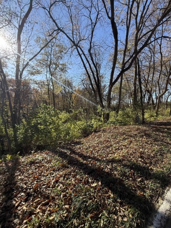 82XX FRIDAY, ROCKFORD, Illinois 61109, ,Land,For Sale,FRIDAY,202506940