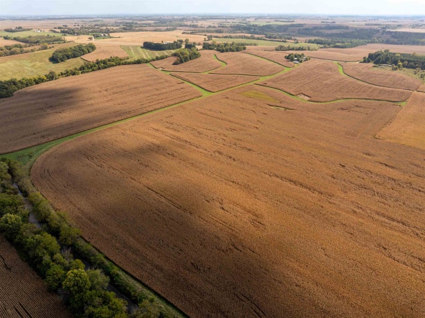 0 Capp, MORRISON, Illinois 61270, ,Land,For Sale,Capp,202502915