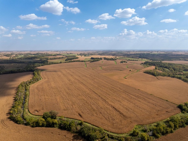 0 Capp, MORRISON, Illinois 61270, ,Land,For Sale,Capp,202502915