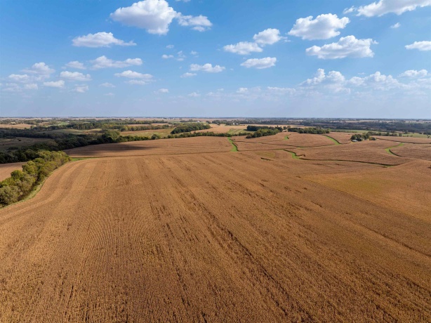 0 Capp, MORRISON, Illinois 61270, ,Land,For Sale,Capp,202502915