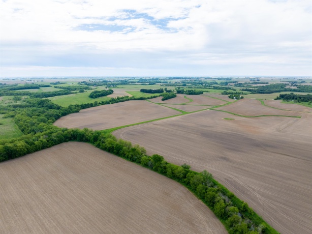0 Capp, MORRISON, Illinois 61270, ,Land,For Sale,Capp,202502915